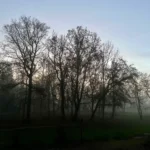 THE KINK Apartment-Hotel